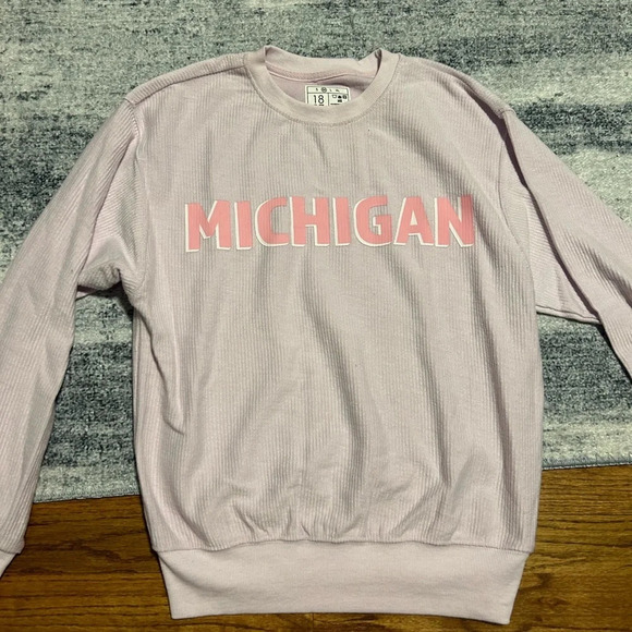 Ribbed MICHIGAN Crewneck - Picture 2 of 5